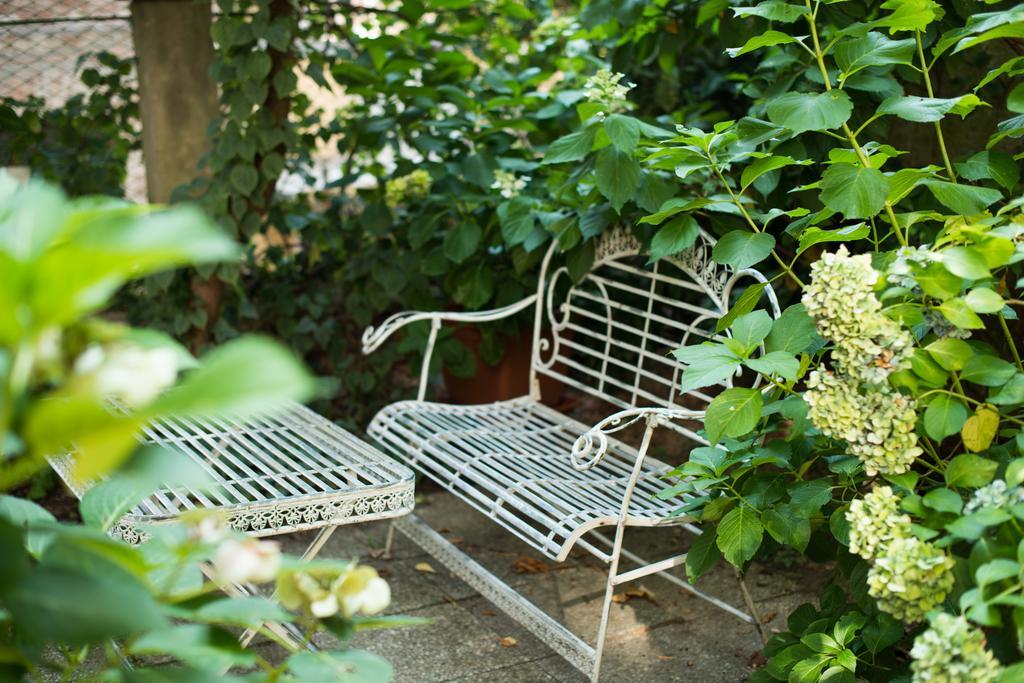 Le Ortensie Di Via Rossetti Bed and Breakfast Trieste Exteriör bild